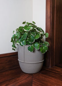 Gray Bisque Planter (Medium)