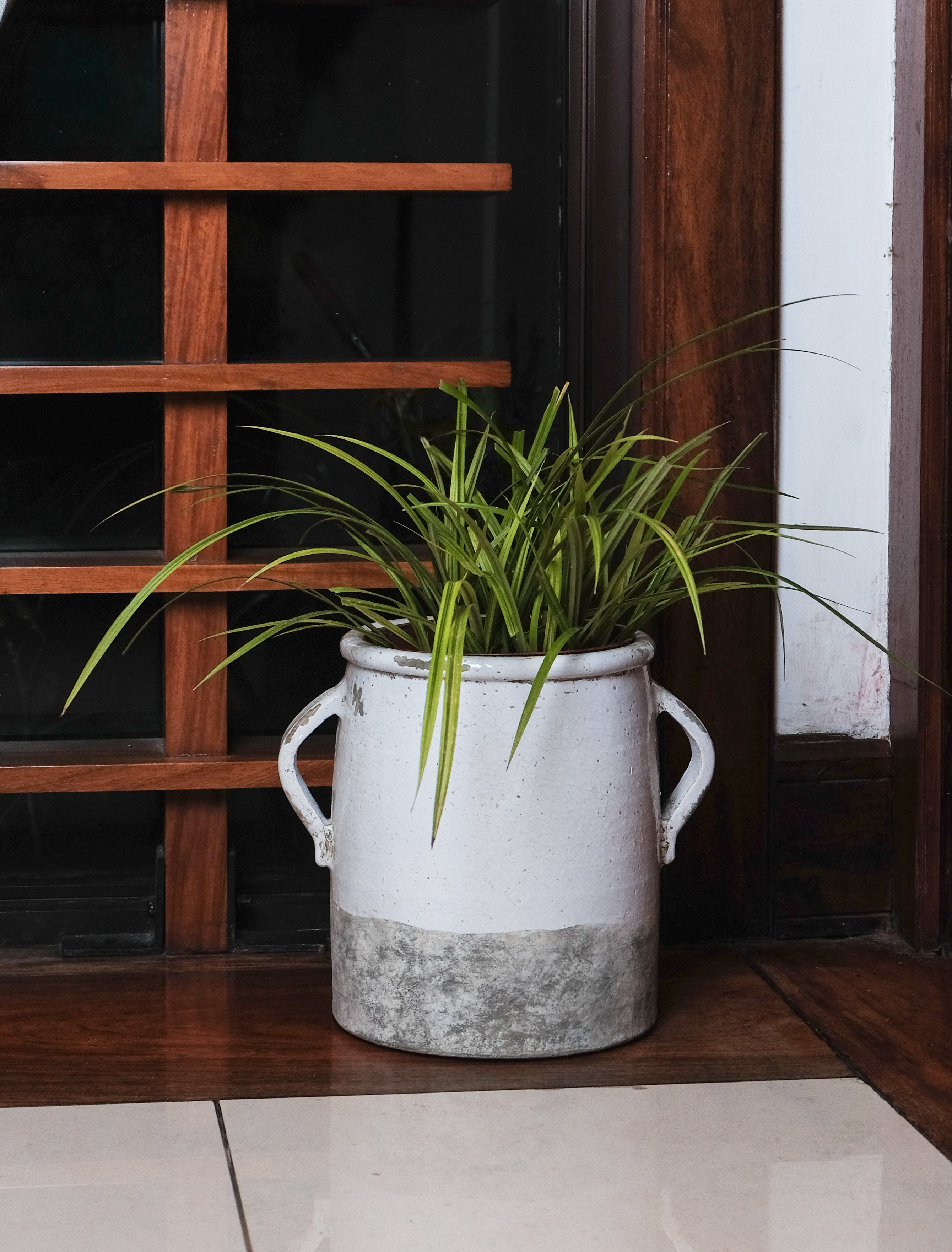 Borgetto Jar Planter