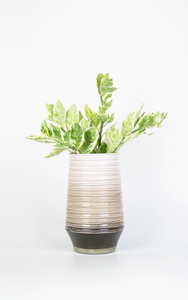 Hugo Brown Ombre Striped Vase