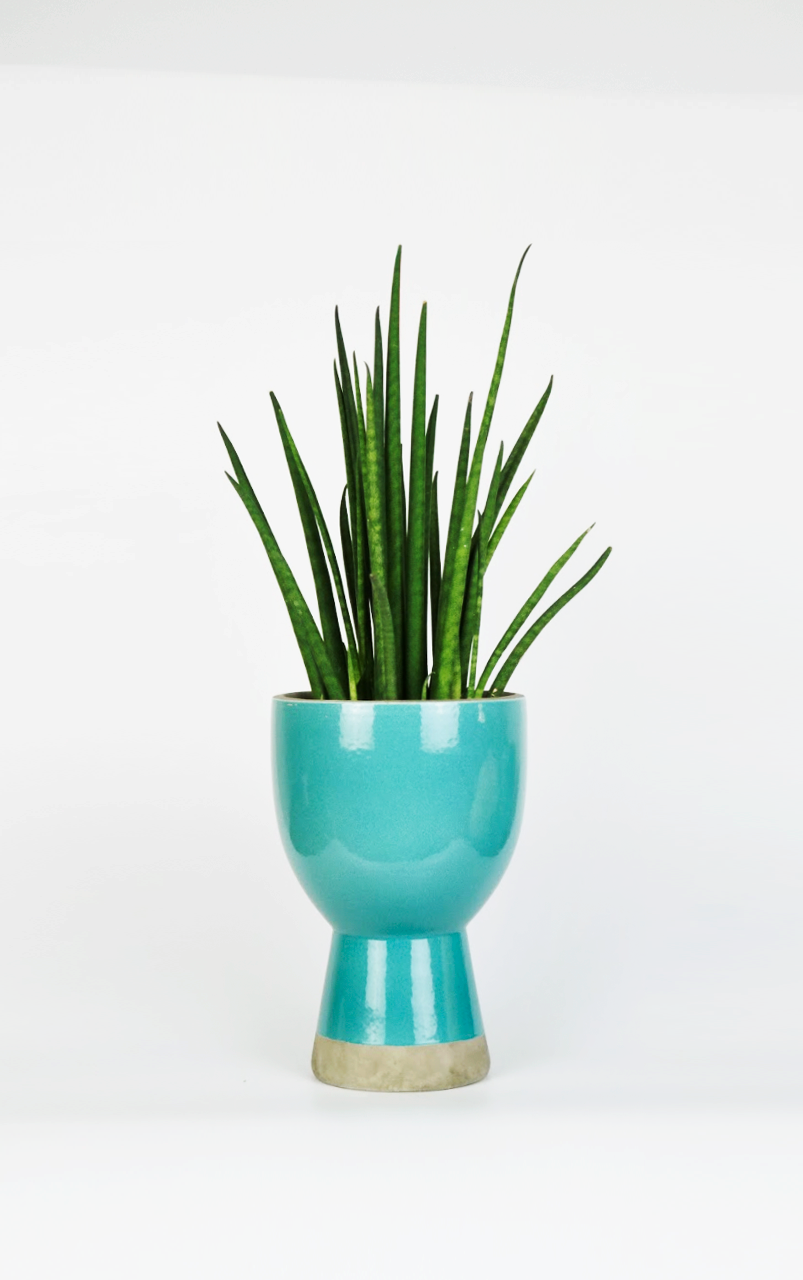 Koppa Turquoise Goblet Vase