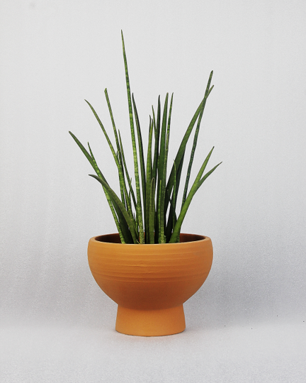 Terracotta Bergamo Bowl Planter