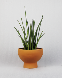 Terracotta Bergamo Bowl Planter