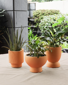 Terracotta Bergamo Goblet Planter