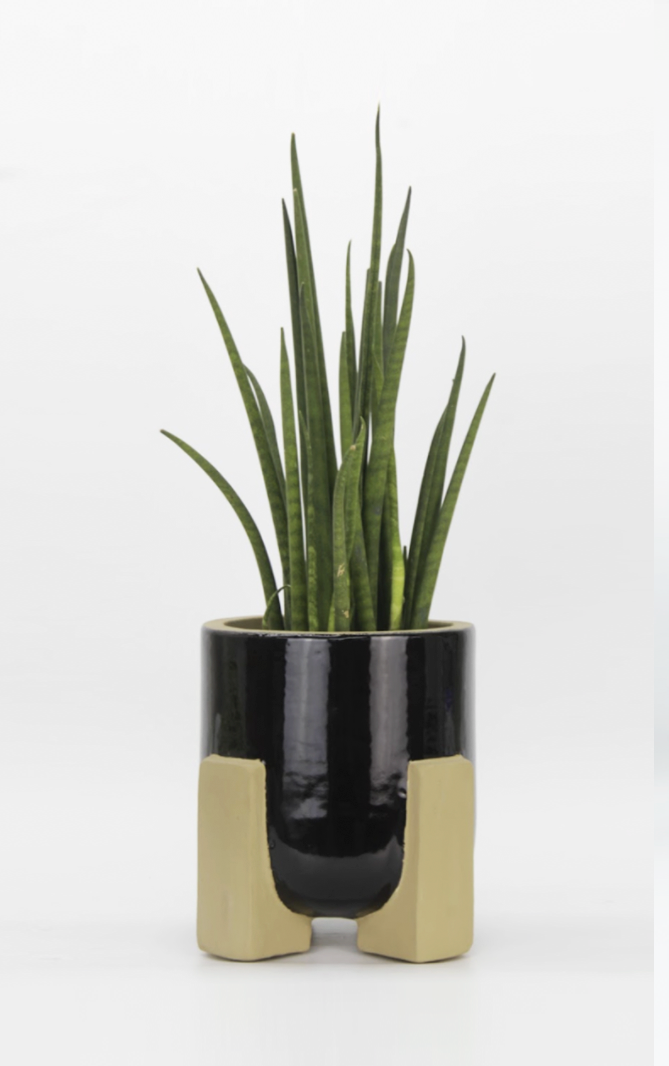 Patie Black Basic Pot (With Stand)