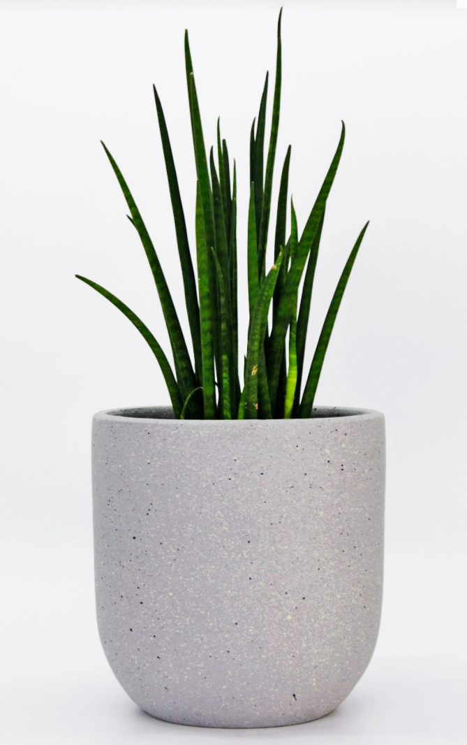 Gray Cement Basic Planter (Small)