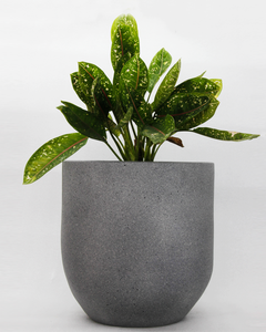 Dark Cement Basic Planter (X-Large)