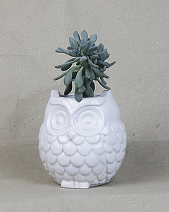 Ceramic Owl