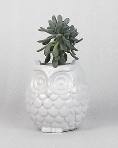 Ceramic Owl