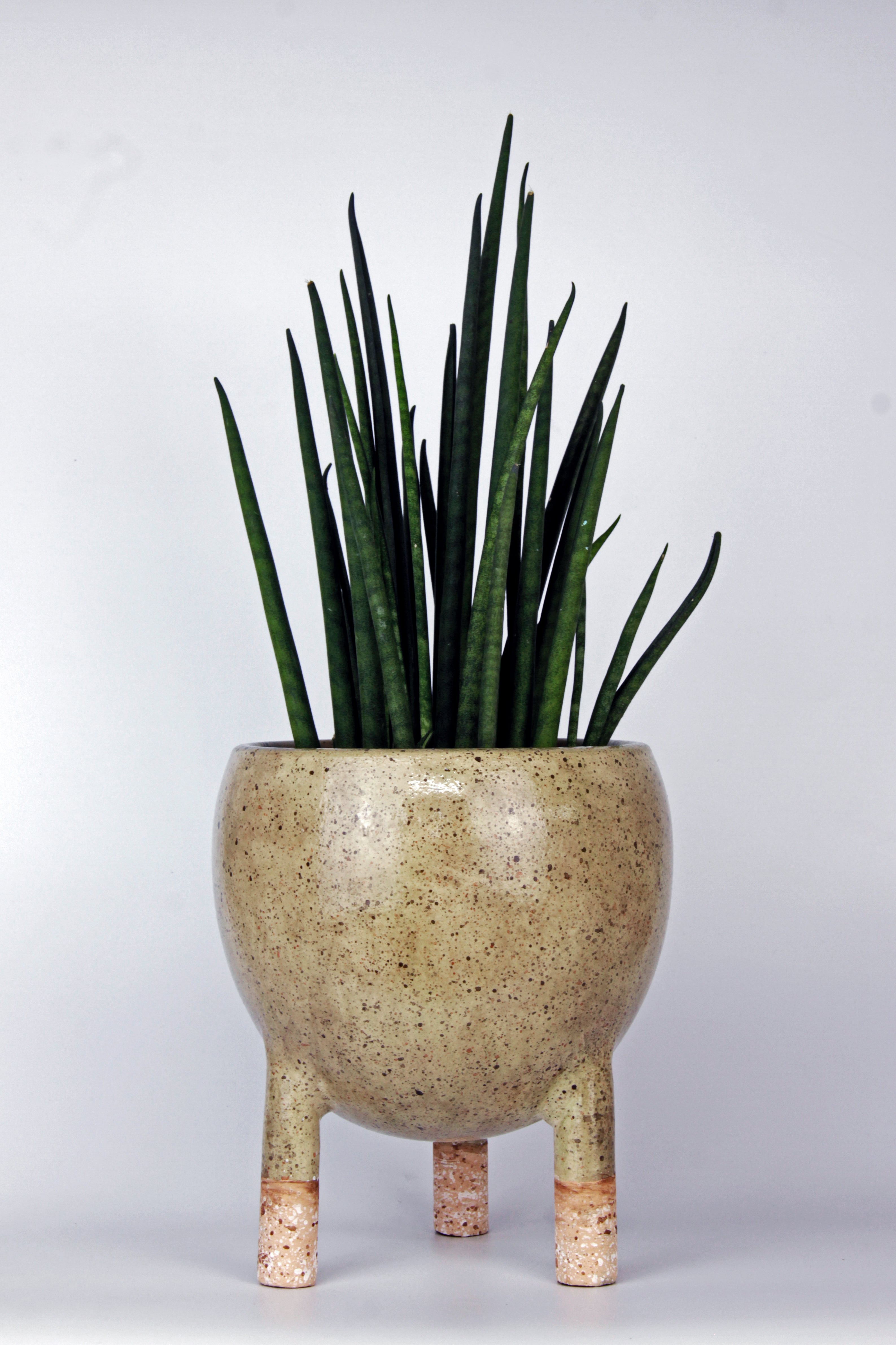 Tripot Earthy Modern Vase