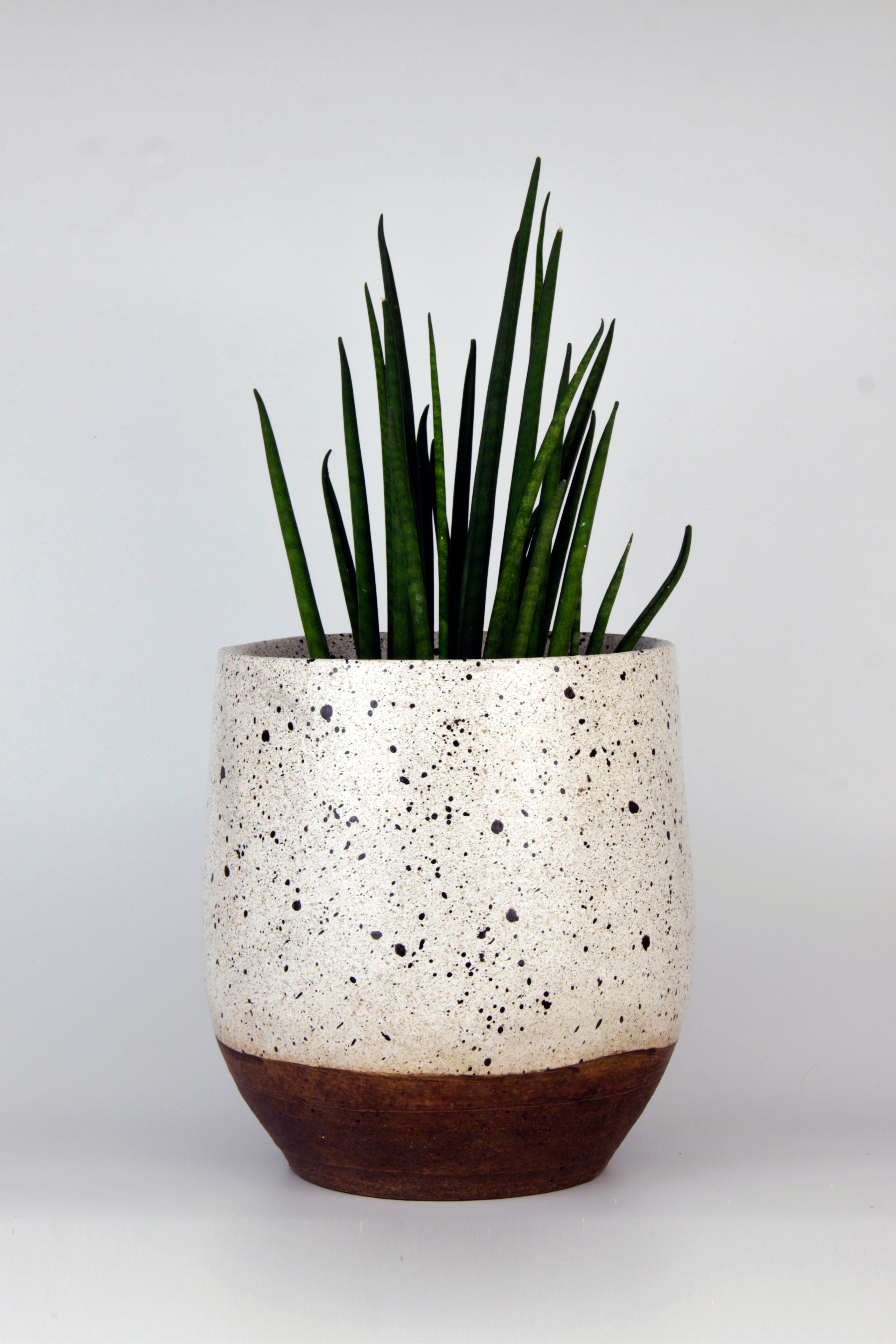 Stoneware Two-toned Speckle Planter