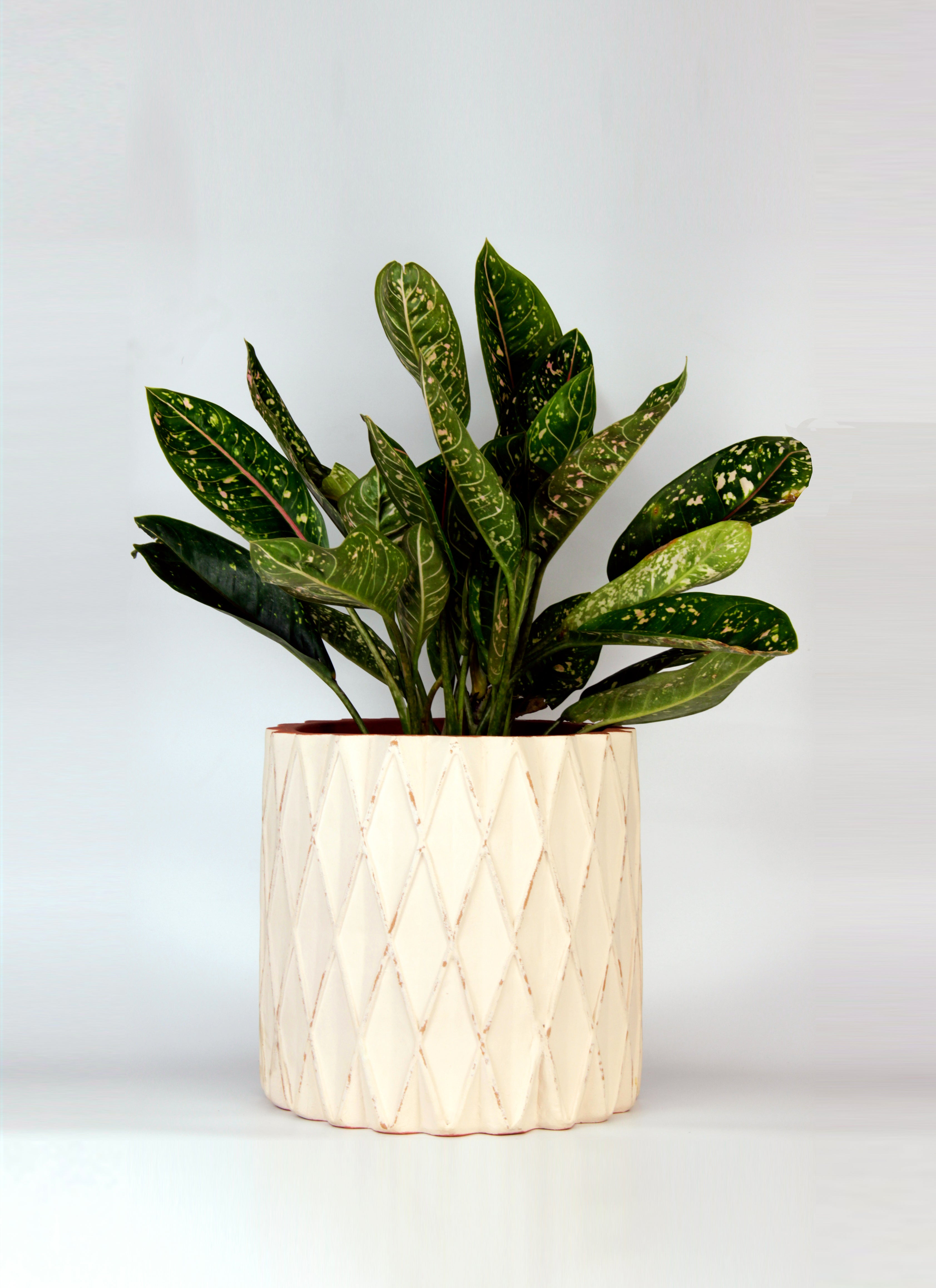 Gefrees Geometric Planter