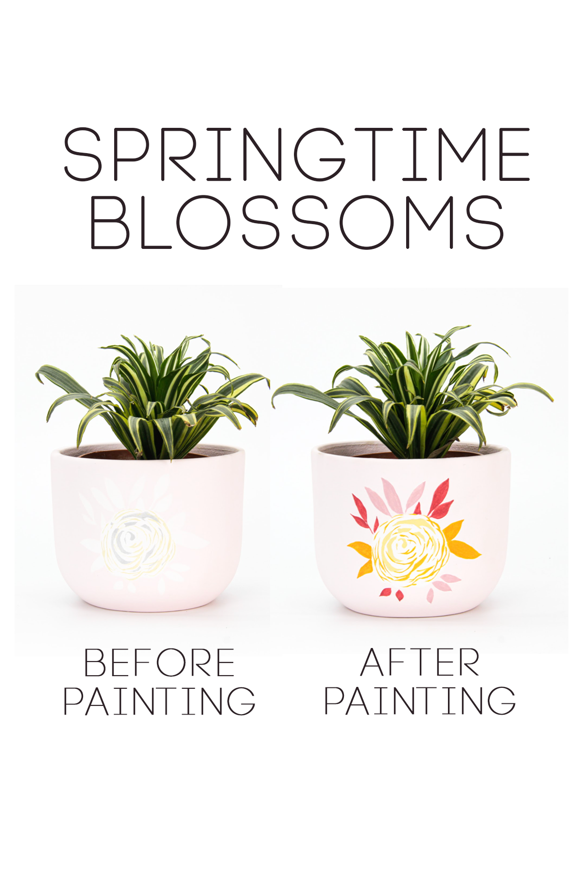 Paint By Numbers: Springtime Blossoms